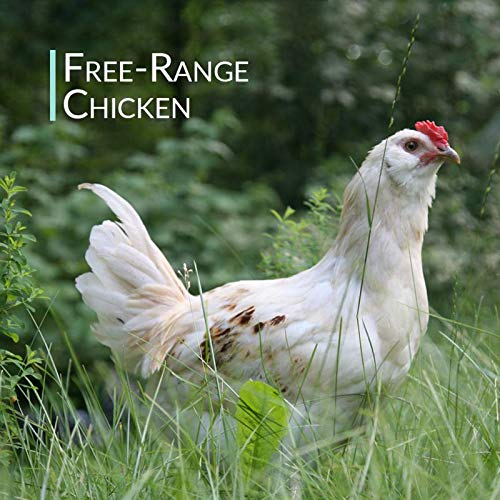 Organic Free Range Chicken Bone Broth Powder 1LB D4236