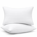 King Size Down Alternative Pillows Set of 2 Q87845