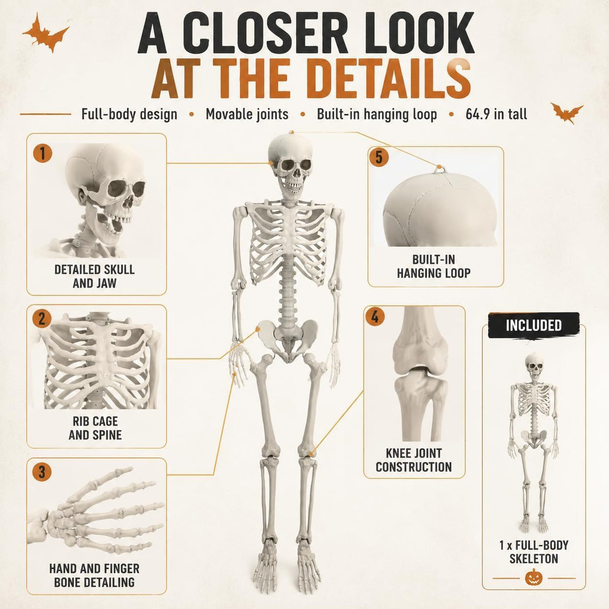 Life Size Posable Skeleton Prop Decoration W74817