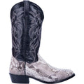 Grey Python Boots H8513