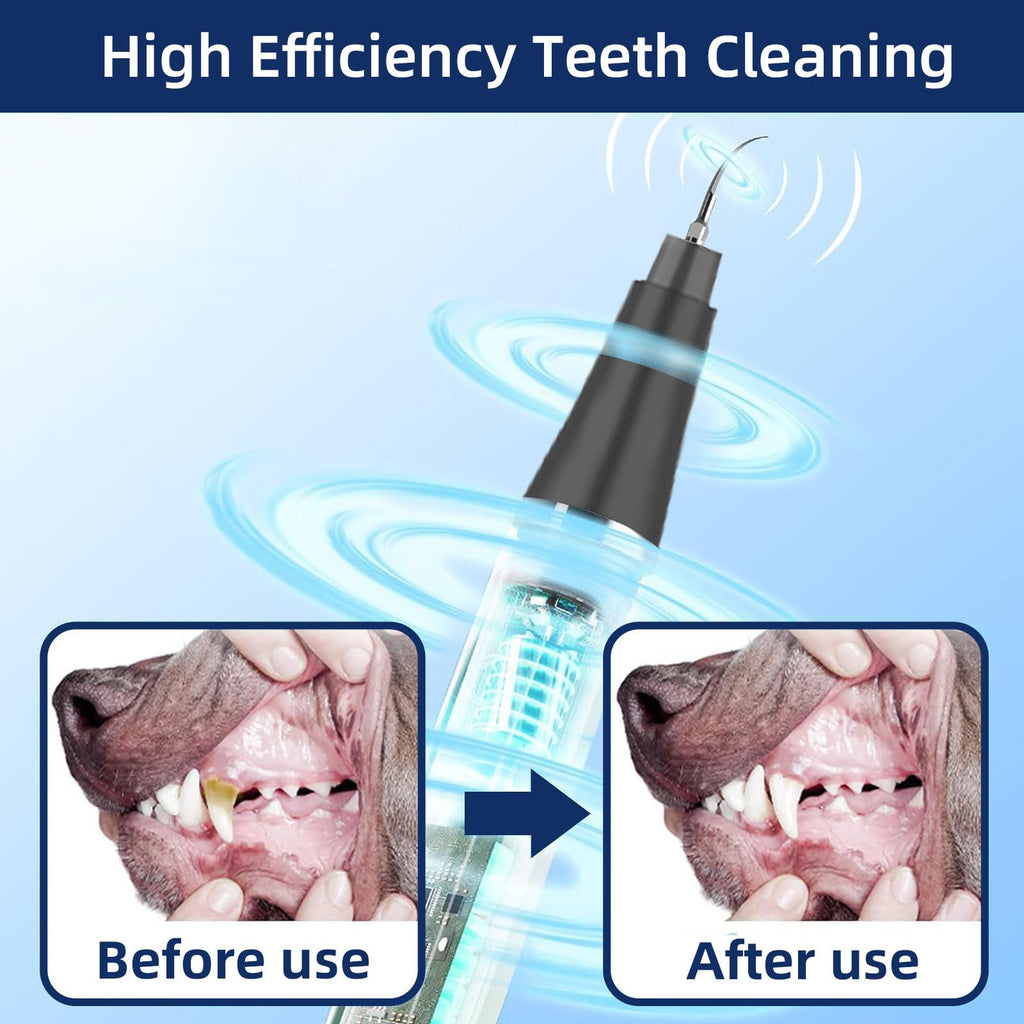 Ultrasonic Pet Plaque Remover with LED Light S76038
