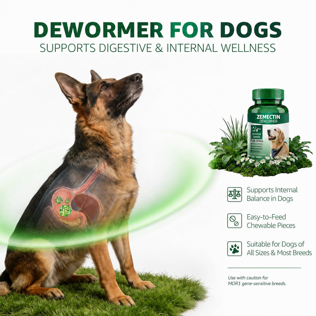 Dewormer for Dogs F487