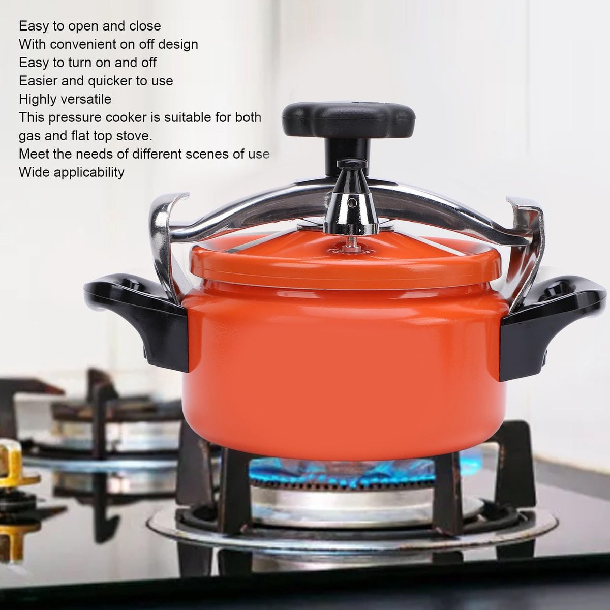 Aluminum Alloy 2L Pressure Cooker P31261