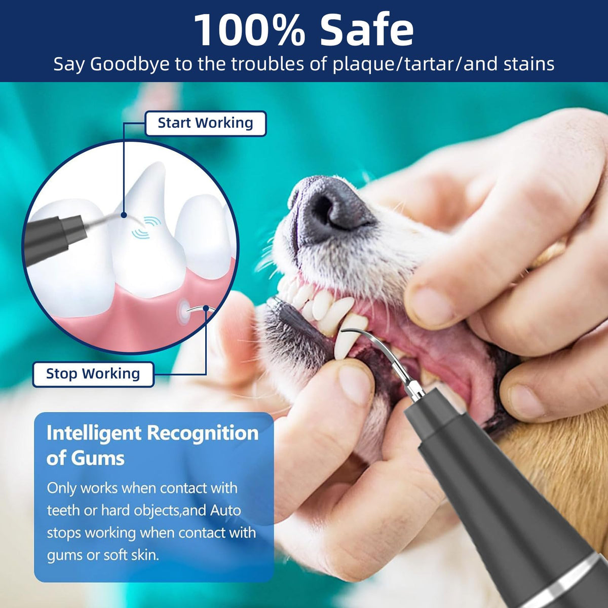 Ultrasonic Pet Plaque Remover with LED Light S76038