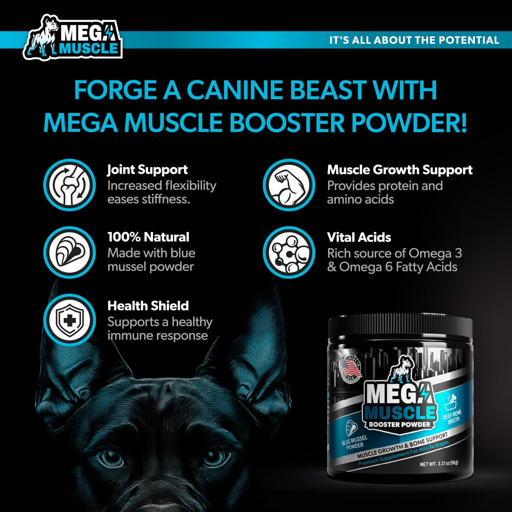 Dog Muscle Support Powder Blue Mussel Bone Broth Food Topper 3.2 oz B245