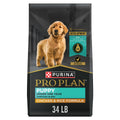 High Protein Shredded Chicken & Rice Puppy Food 34 lb Bag R3518