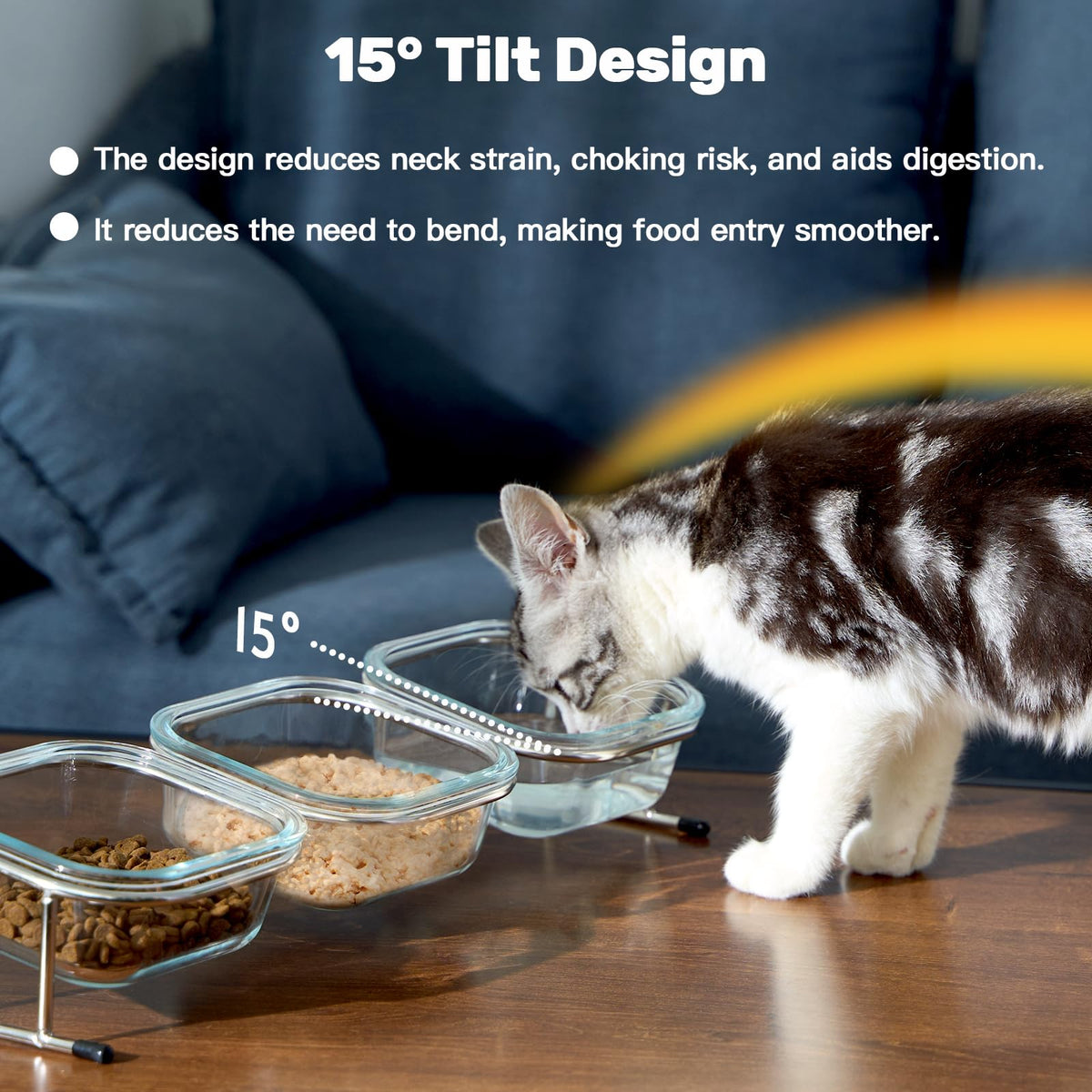 15° Tilted Glass Raised Cat Bowls V403374