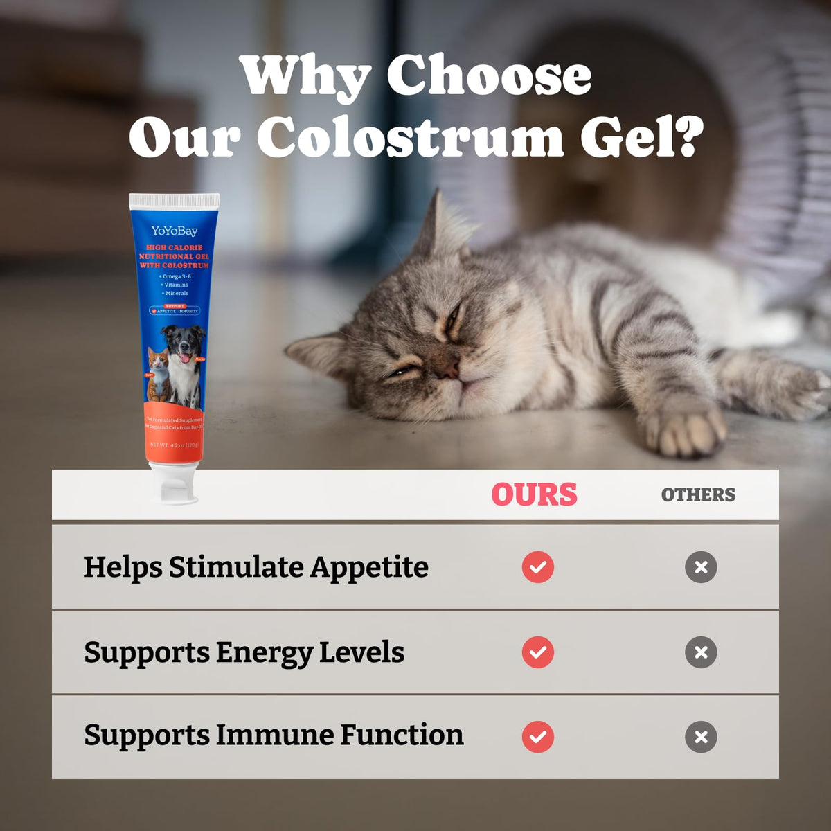 Bovine Colostrum Gel for Dogs & Cats Y1444