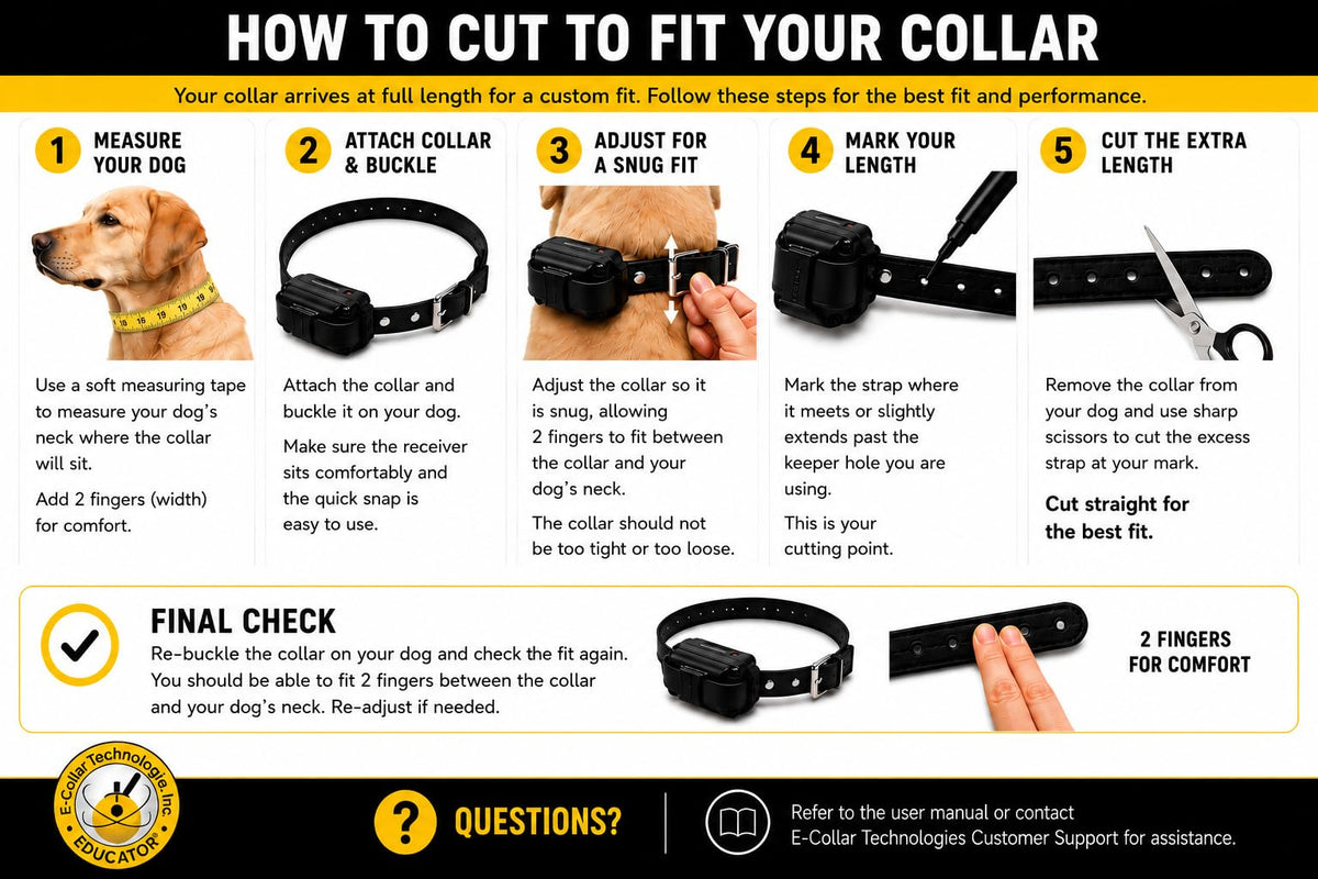 Black Quick Snap Collar Strap T326213