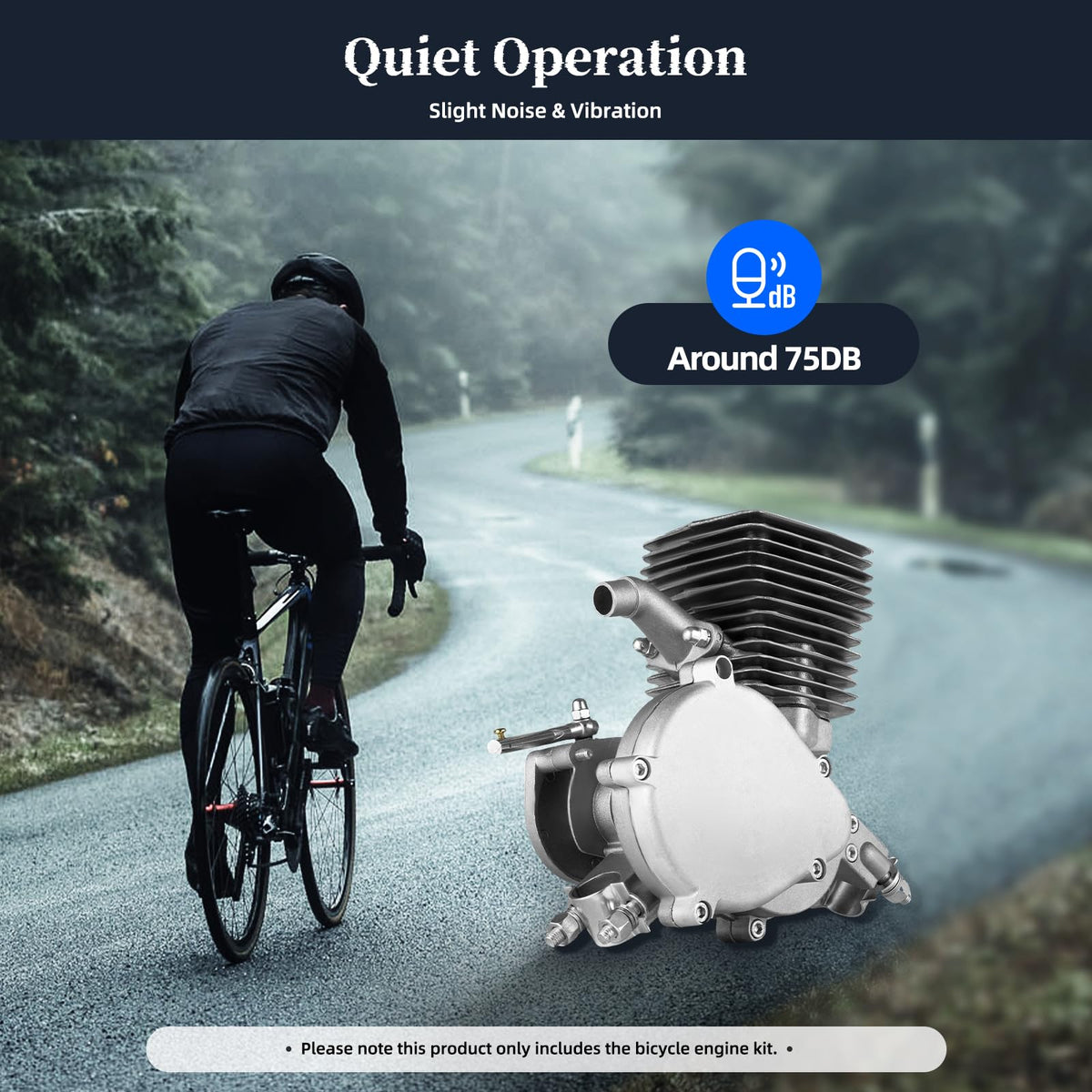 100CC 2 Stroke Air Cooling Bicycle Engine Kit W996