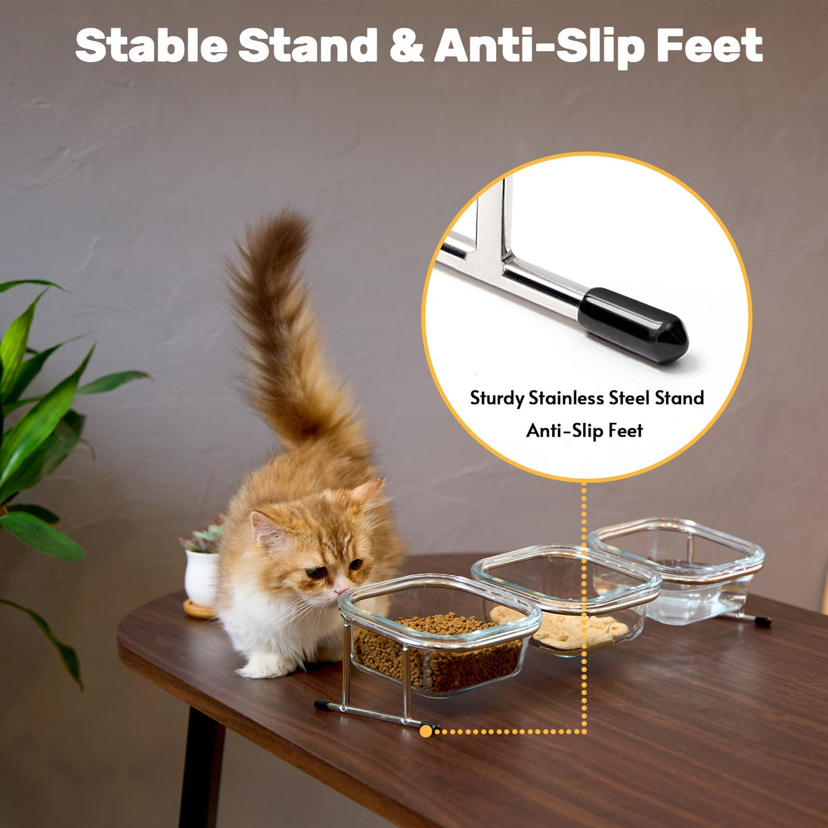 15° Tilted Glass Raised Cat Bowls V403374