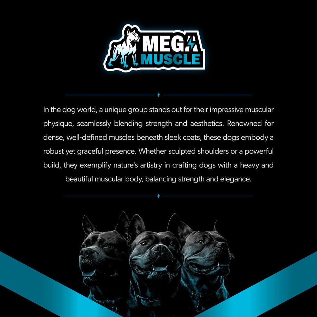 Dog Muscle Support Powder Blue Mussel Bone Broth Food Topper 3.2 oz B245