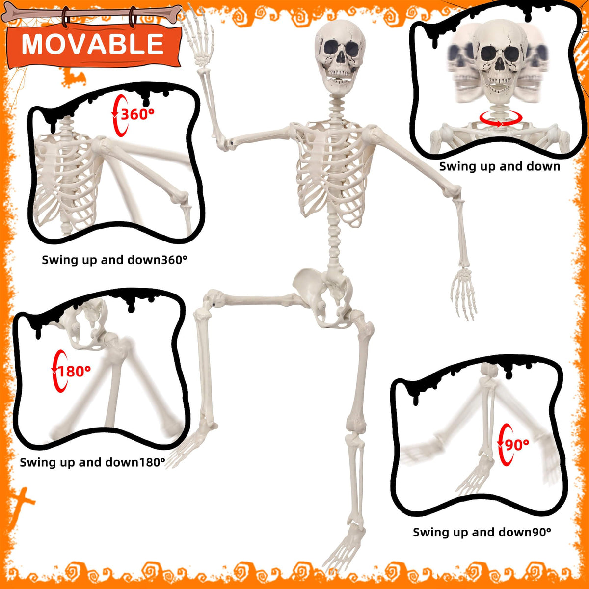 5.4Ft Movable Joints Plastic Skeleton E28948