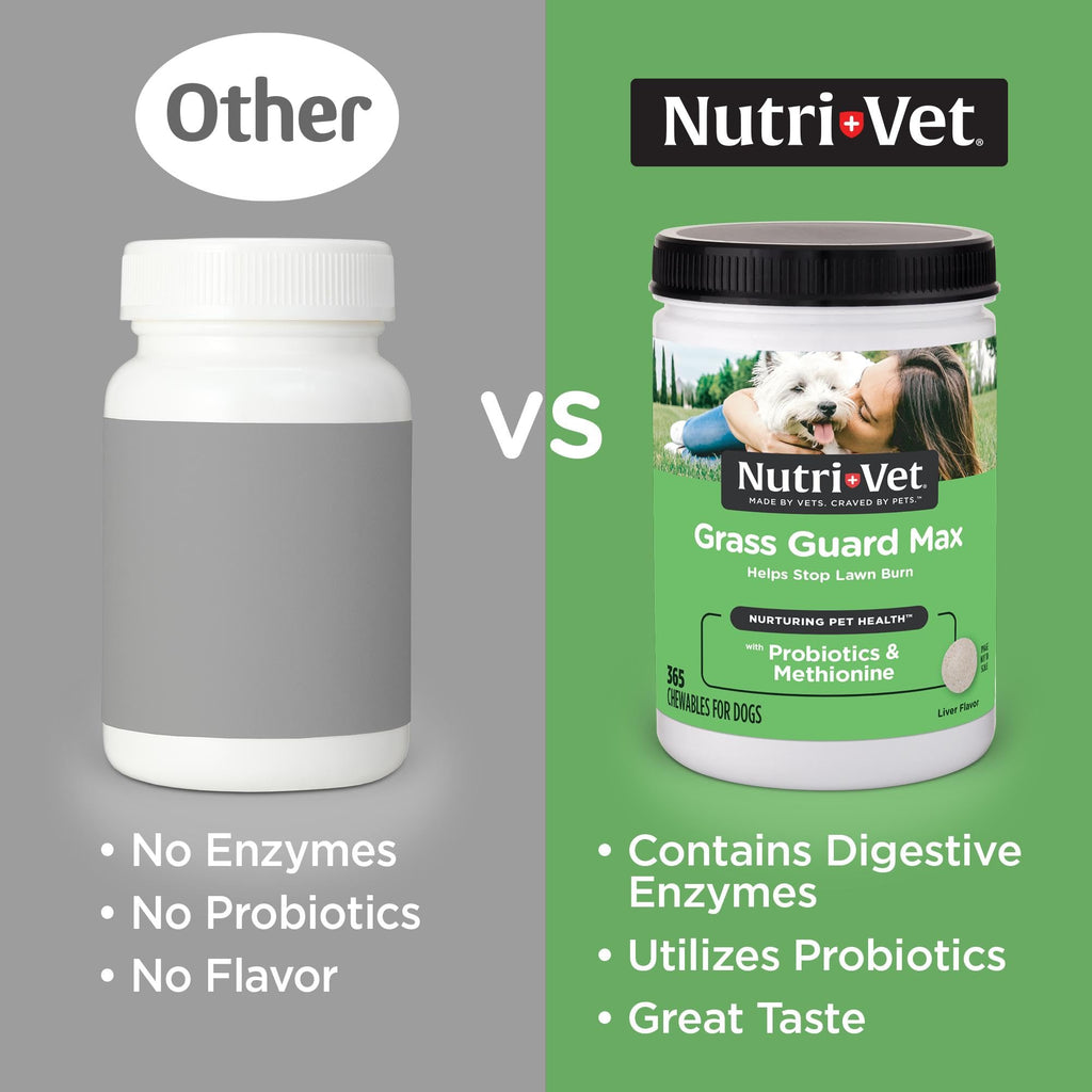 Dog Urine Support Chewables 365 Count H5204