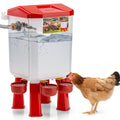 Automatic Chicken Waterer with Four Water Cups X873