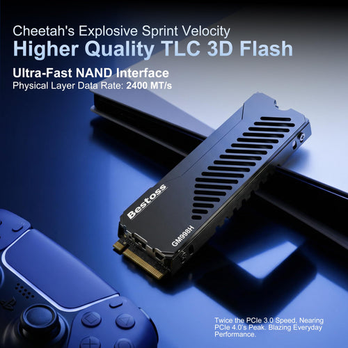 1TB PCIe 4.0 NVMe M.2 2280 SSD with Heatsink T162