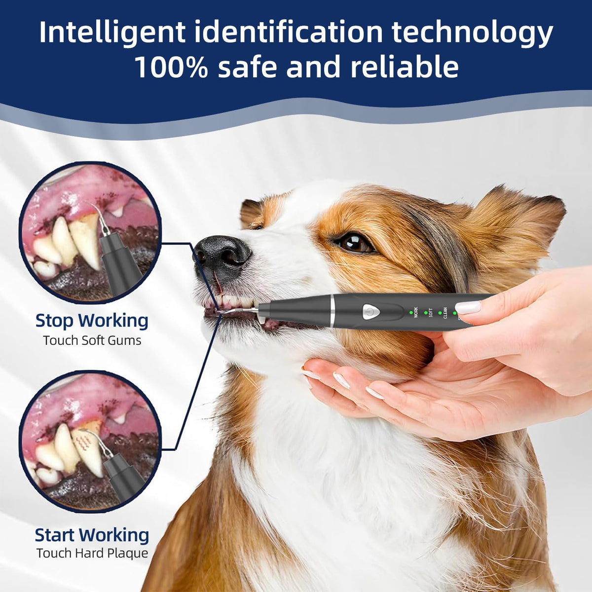 Ultrasonic Pet Plaque Remover with LED Light S76038