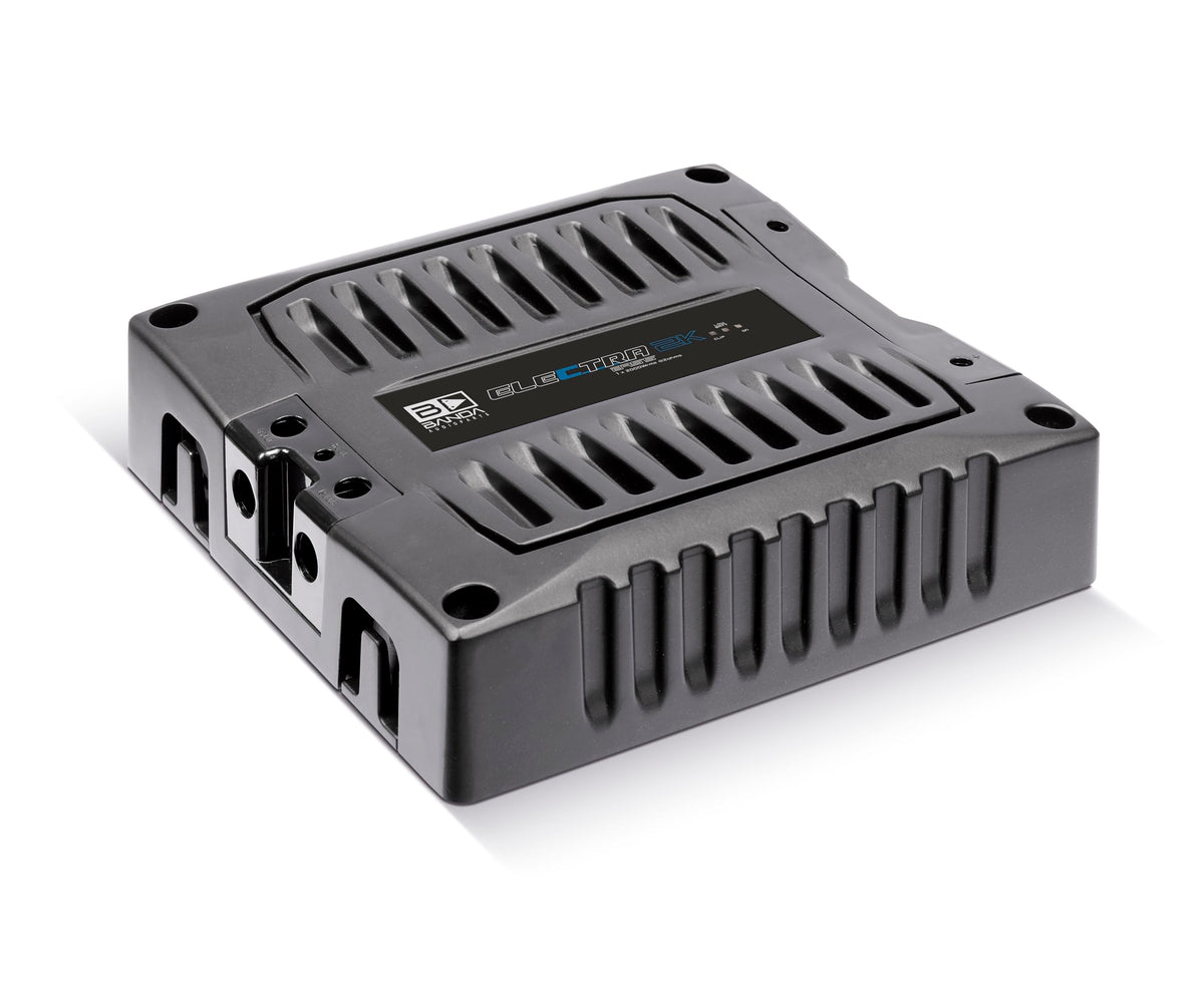 1-Channel Mono Bass Amplifier with Subsonic Filter Y962388