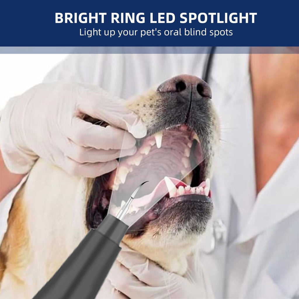 Ultrasonic Pet Plaque Remover with LED Light S76038