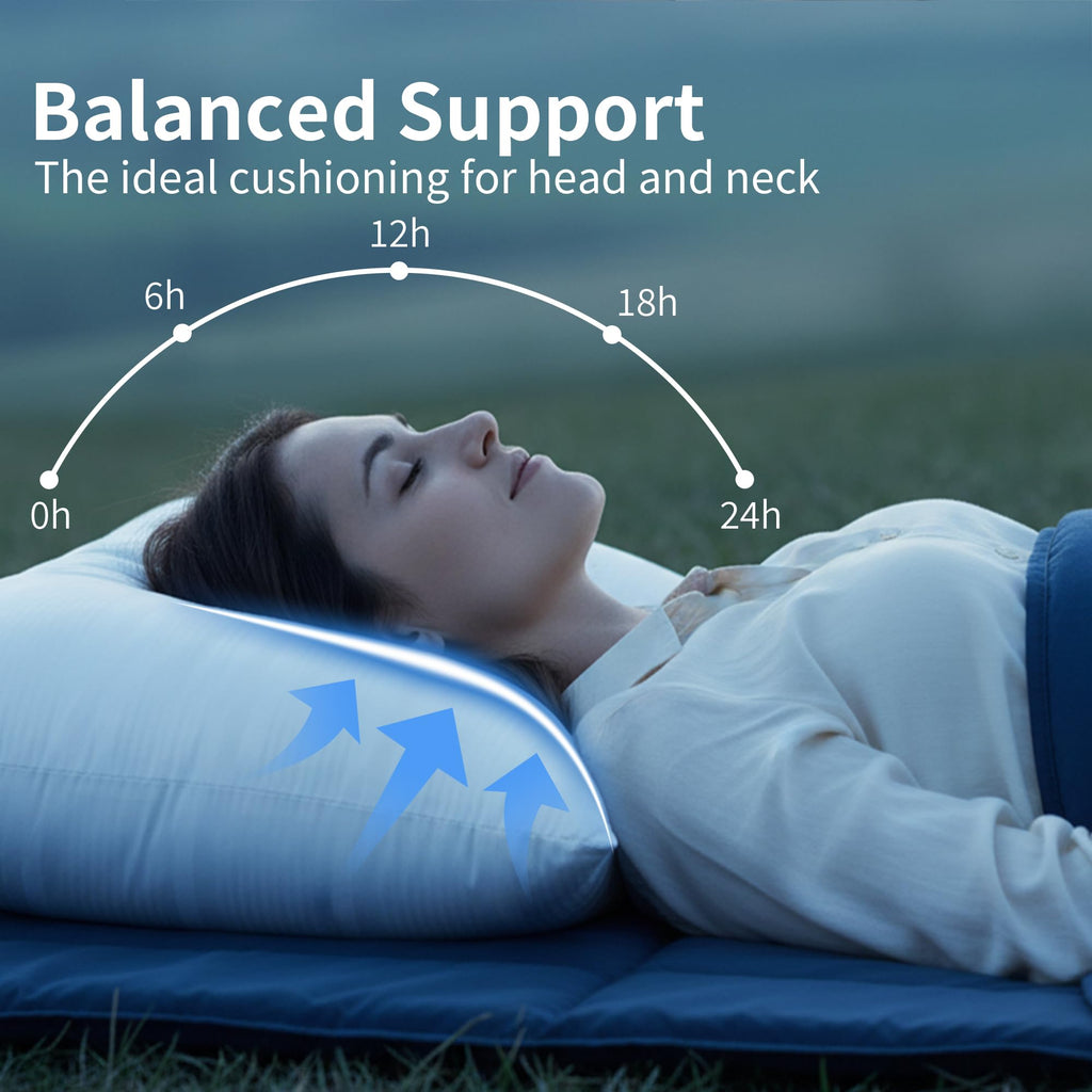 King Size Down Alternative Pillows Set of 2 Q87845