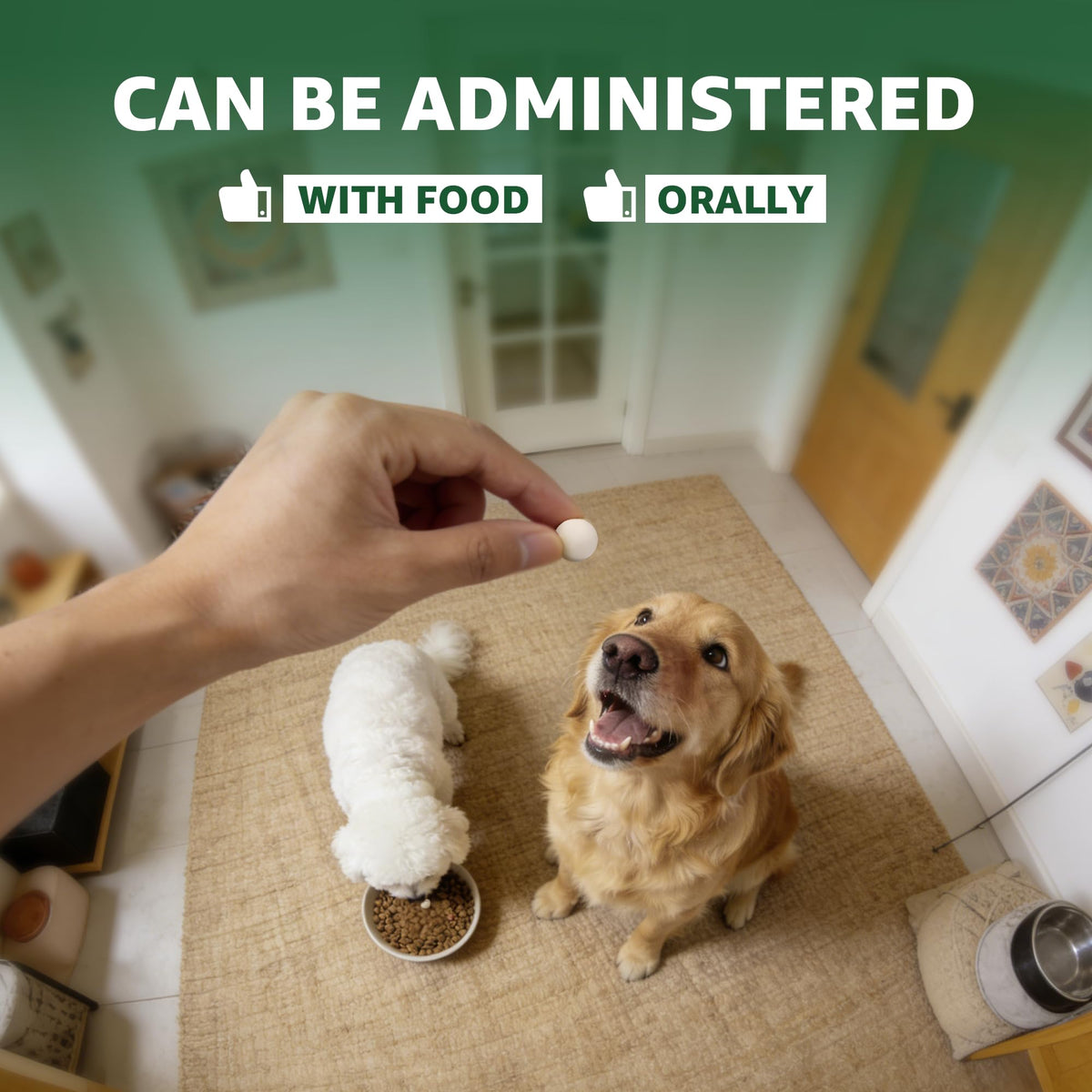 Dewormer for Dogs F487