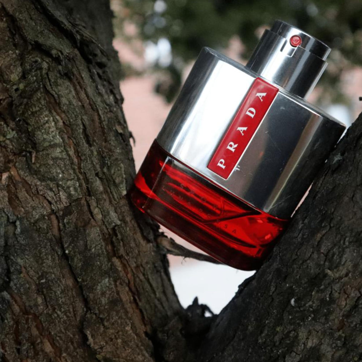 Eau de Toilette 100 ml L314565