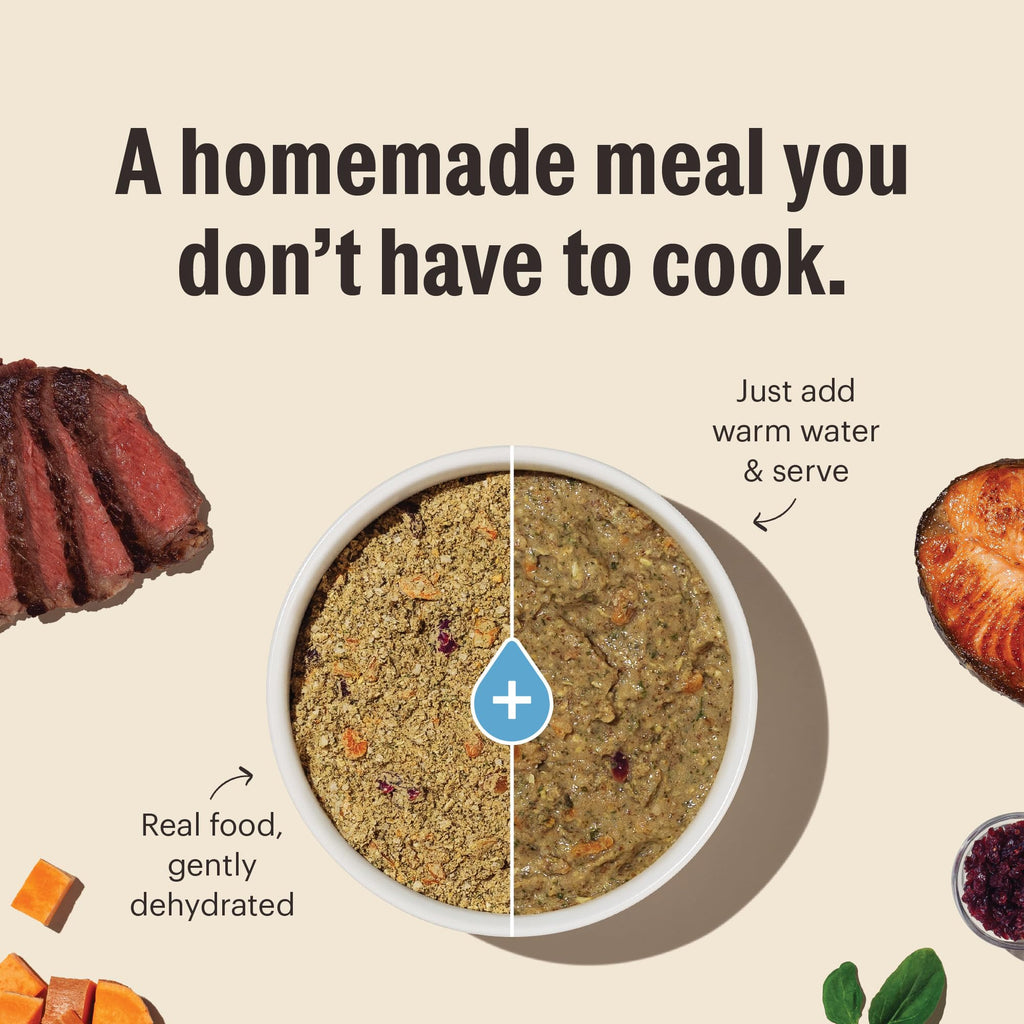 Whole Grain Chicken Recipe Dehydrated Dog Food 10 lb S653