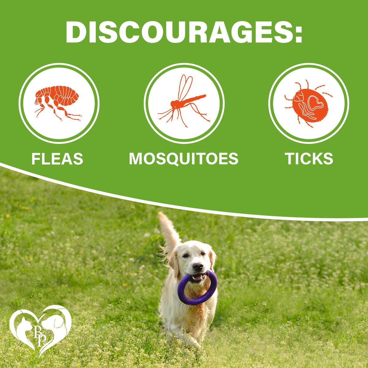 Chewable Flea and Tick Prevention Pills for Dogs A697869