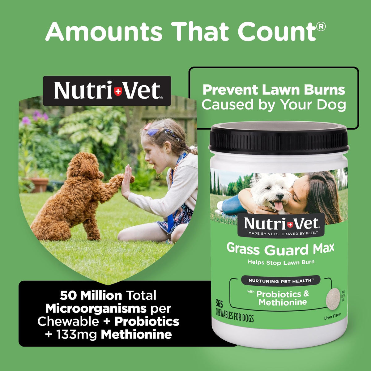 Dog Urine Support Chewables 365 Count H5204