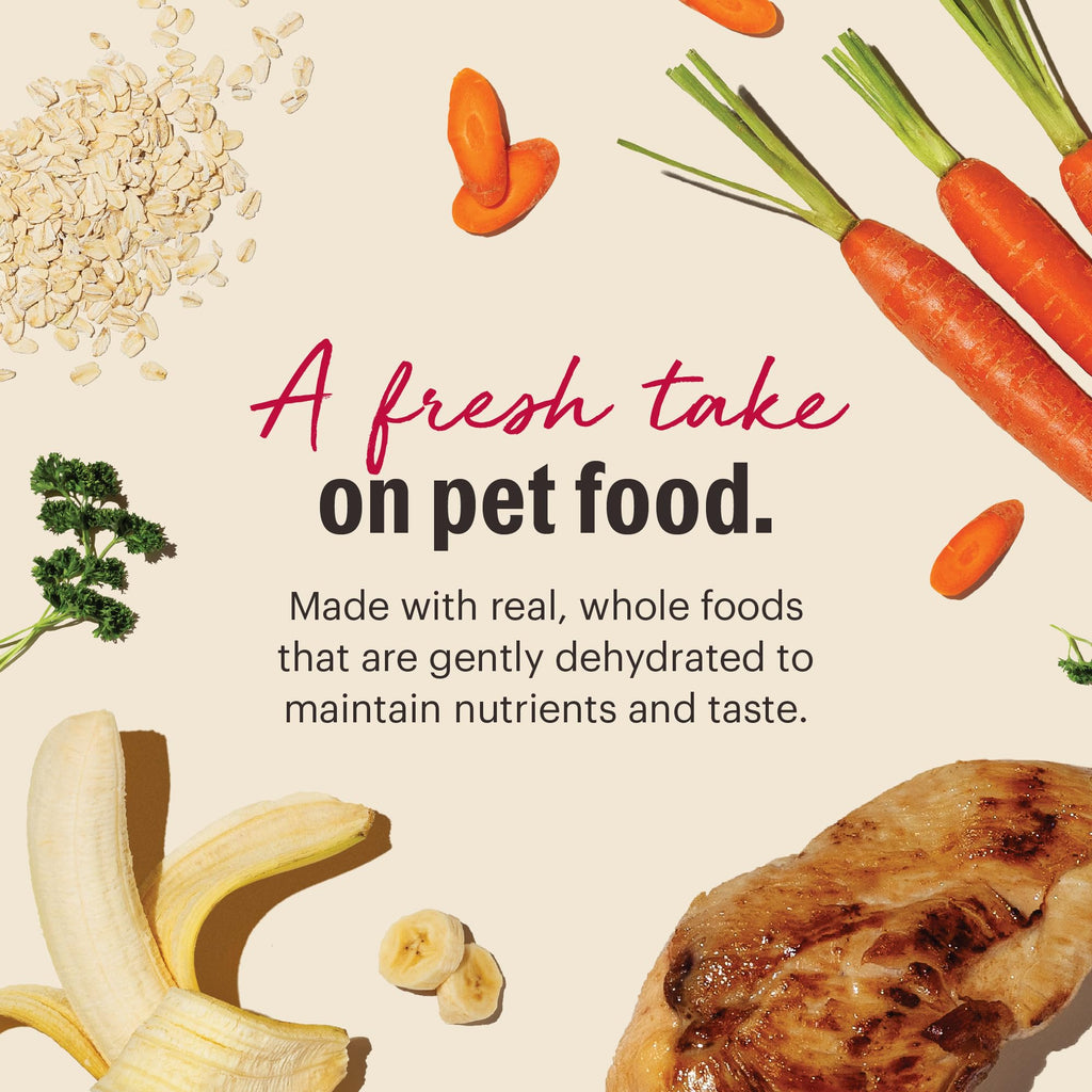 Whole Grain Chicken Recipe Dehydrated Dog Food 10 lb S653