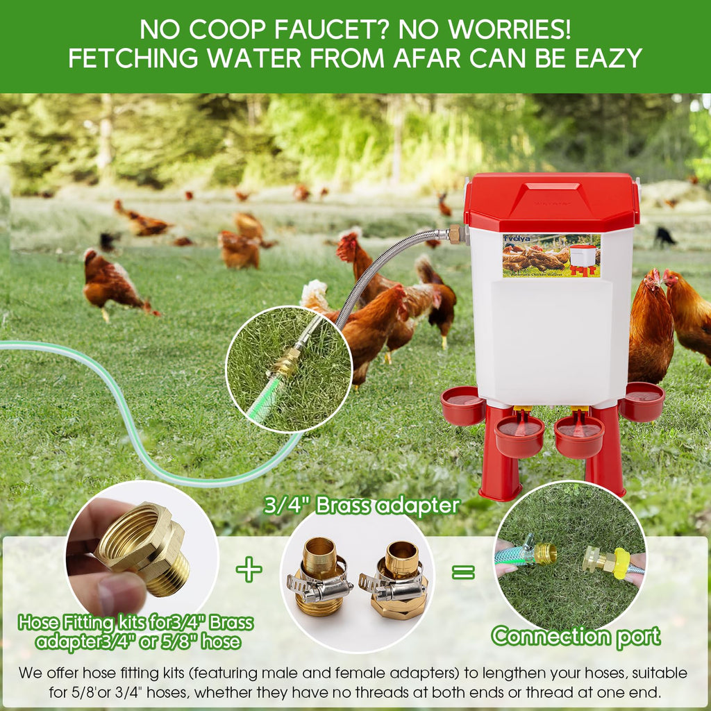 Automatic Chicken Waterer with Four Water Cups X873