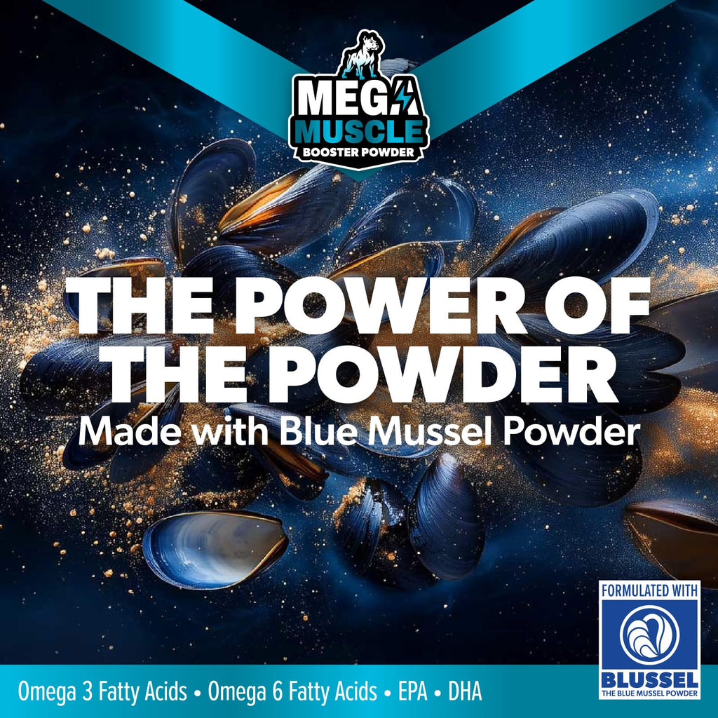 Dog Muscle Support Powder Blue Mussel Bone Broth Food Topper 3.2 oz B245