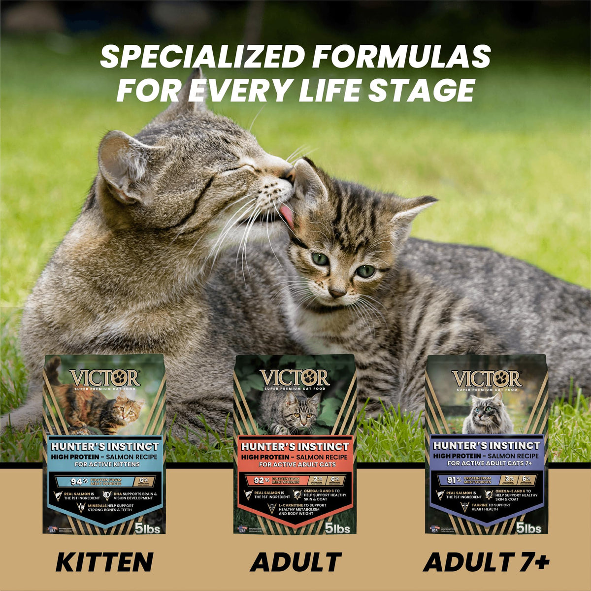 High Protein Salmon Recipe for Kittens, 5lb N8923