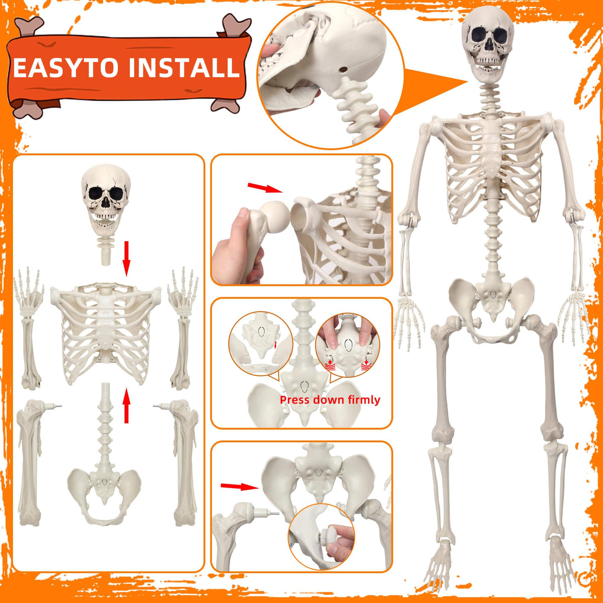 5.4Ft Movable Joints Plastic Skeleton E28948