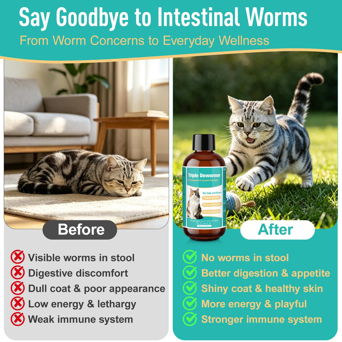Cat Dewormer Liquid S13190