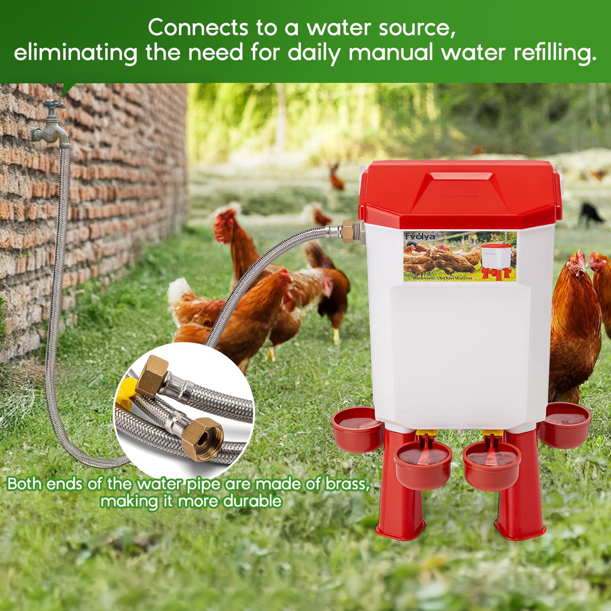 Automatic Chicken Waterer with Four Water Cups X873