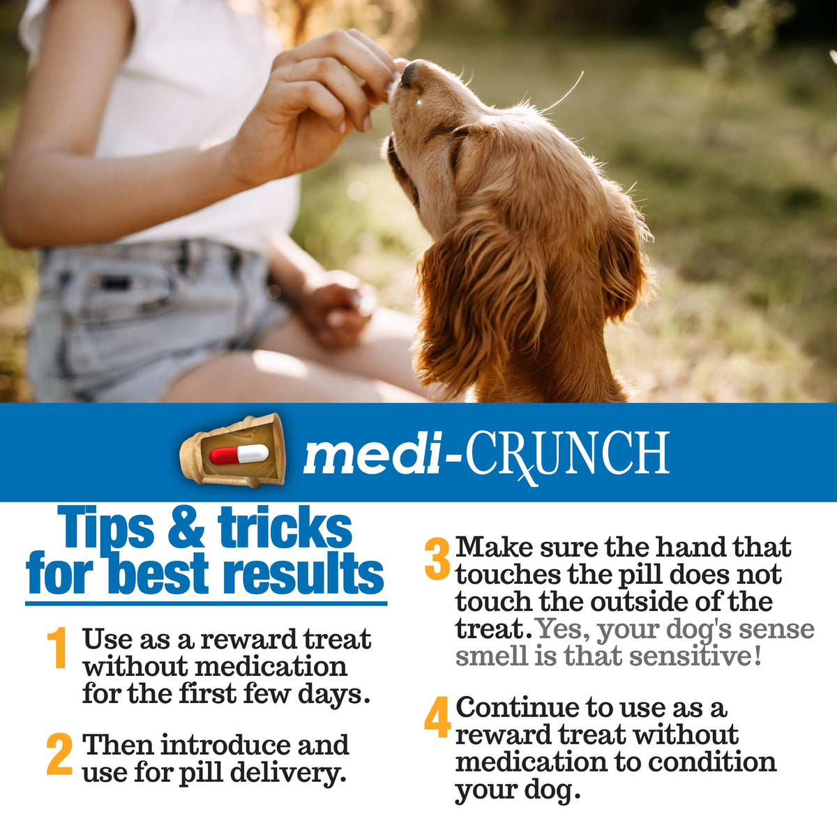 Peanut Butter Dog Pill Treats 180 Count R130