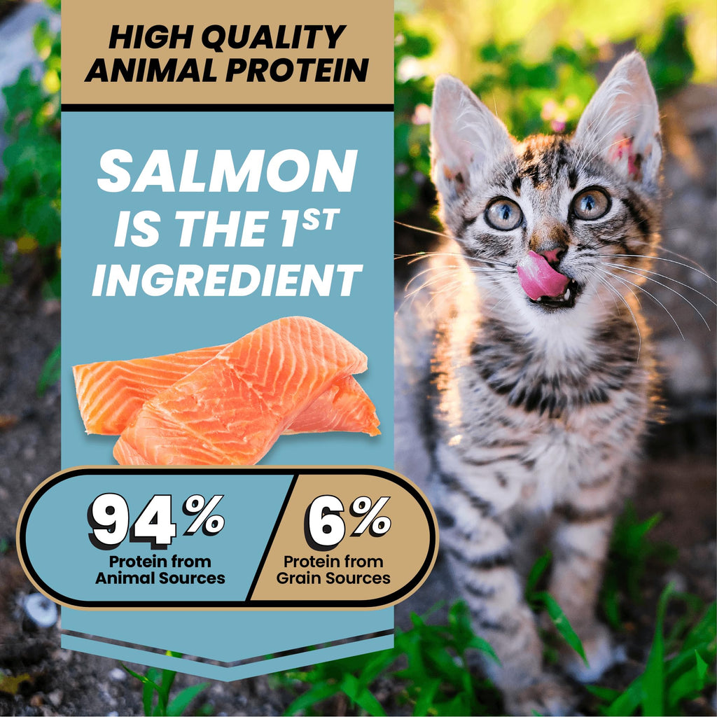 High Protein Salmon Recipe for Kittens, 5lb N8923