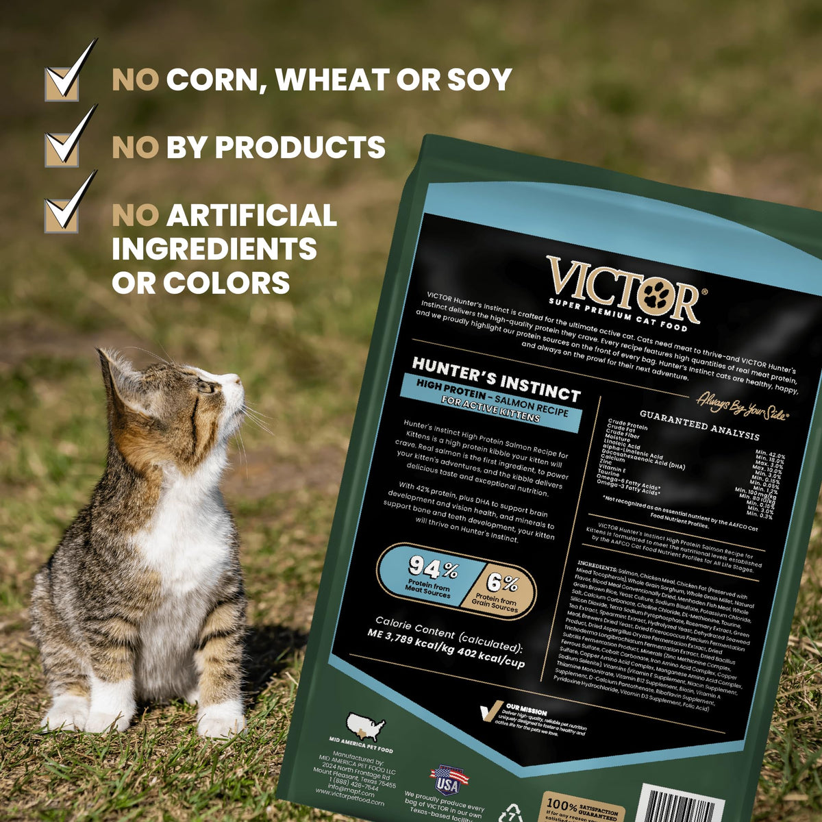 High Protein Salmon Recipe for Kittens, 5lb N8923