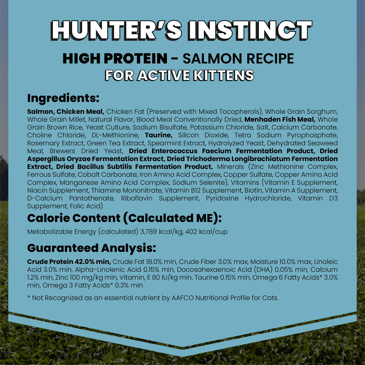 High Protein Salmon Recipe for Kittens, 5lb N8923