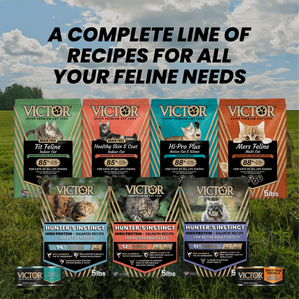 High Protein Salmon Recipe for Kittens, 5lb N8923