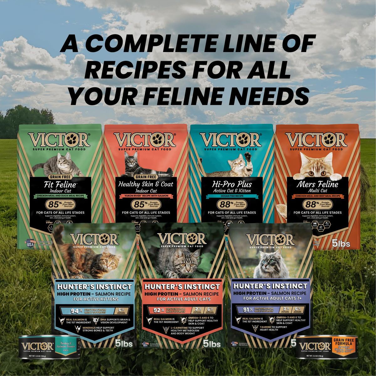 High Protein Salmon Recipe for Kittens, 5lb N8923