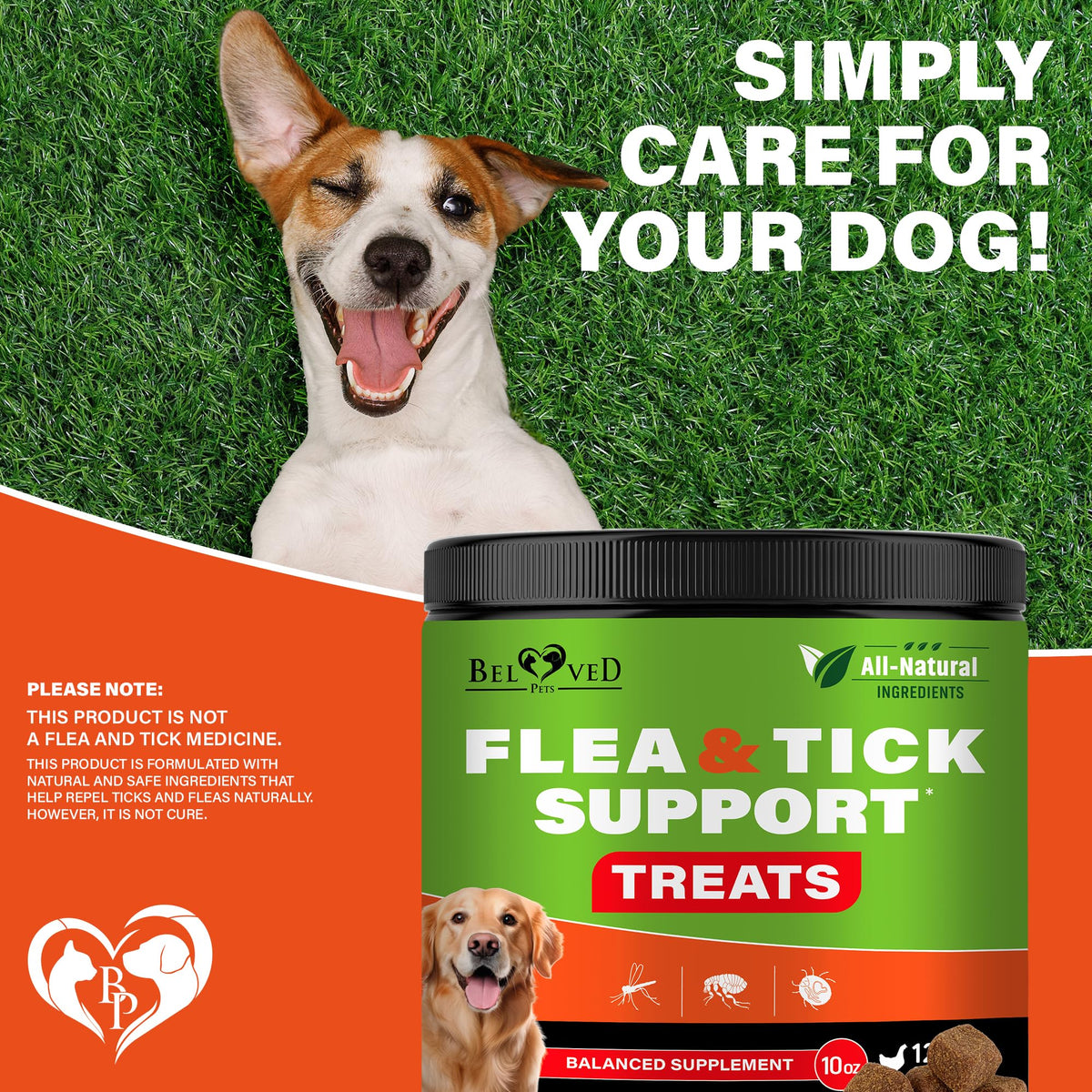 Chewable Flea and Tick Prevention Pills for Dogs A697869