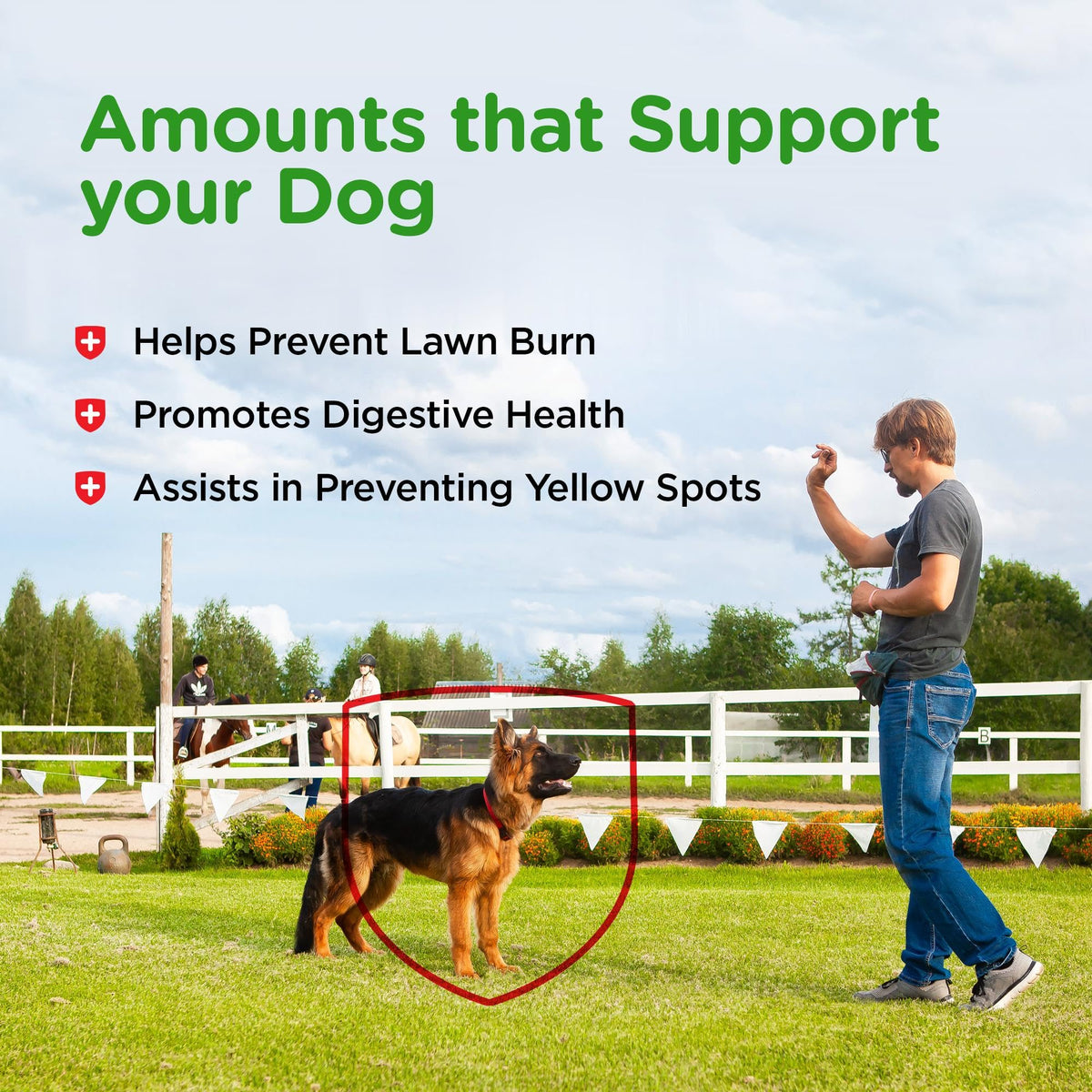 Dog Urine Support Chewables 365 Count H5204