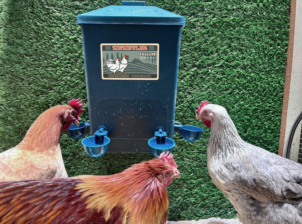 6 Gallon Chicken Waterer 2-Pack E874007