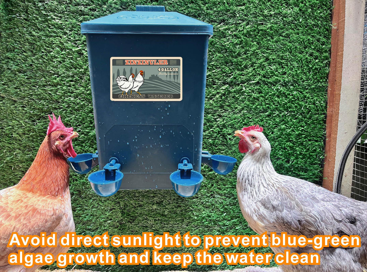 6 Gallon Chicken Waterer 2-Pack E874007